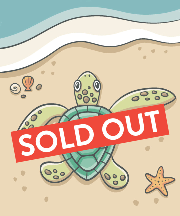 FAMILY WORKSHOP - Turtle
