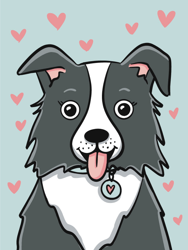 FAMILY WORKSHOP - Border Collie