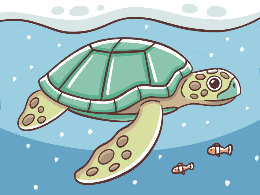 Turtle - Canvas Board Workshop