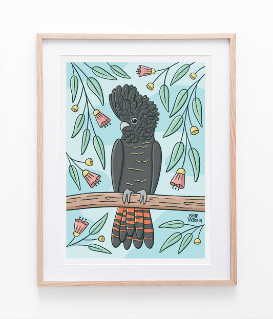 Black Cockatoo