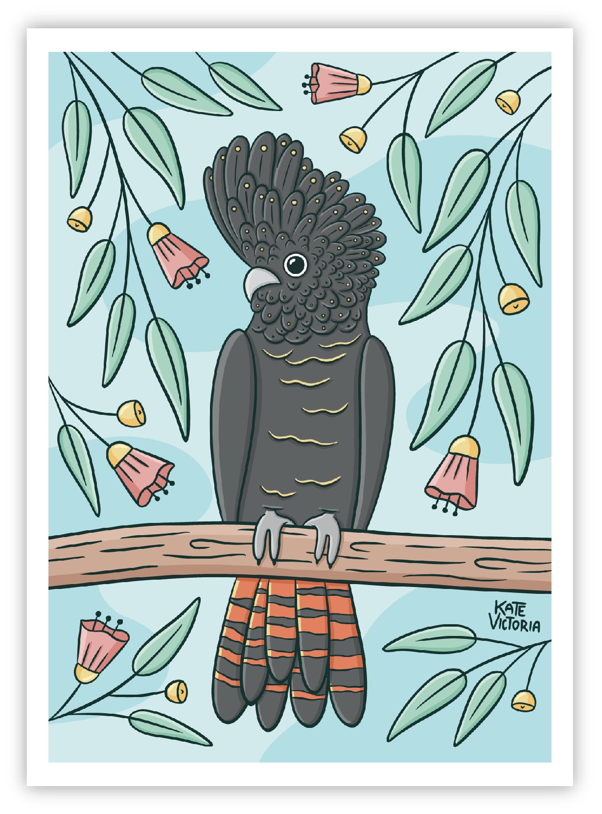 Black Cockatoo