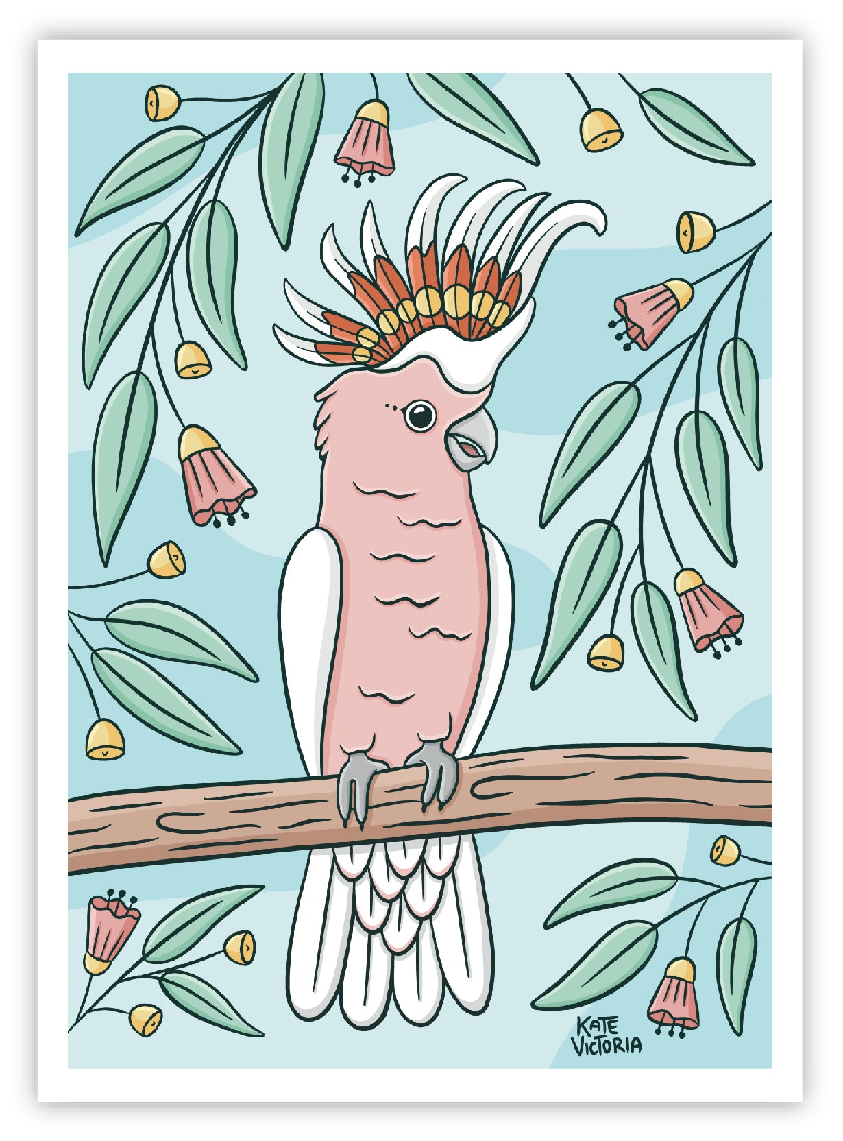 Pink Cockatoo