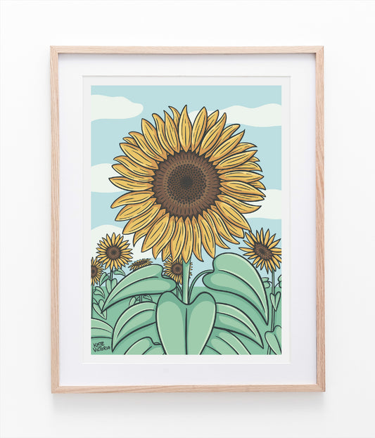 Sunflower