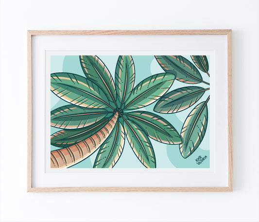 Under the Palms