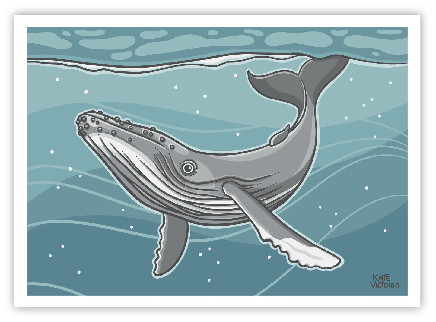 Whale