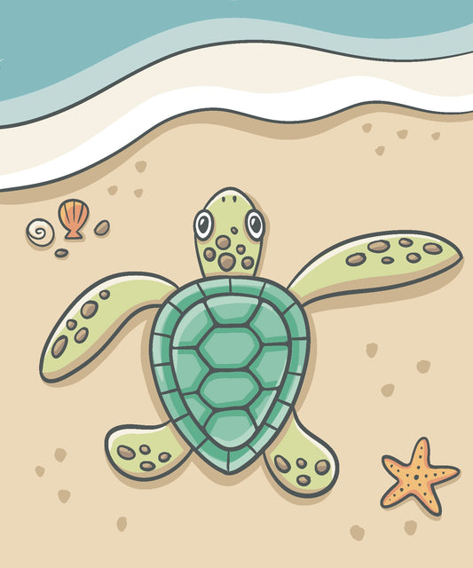 FAMILY WORKSHOP - Turtle