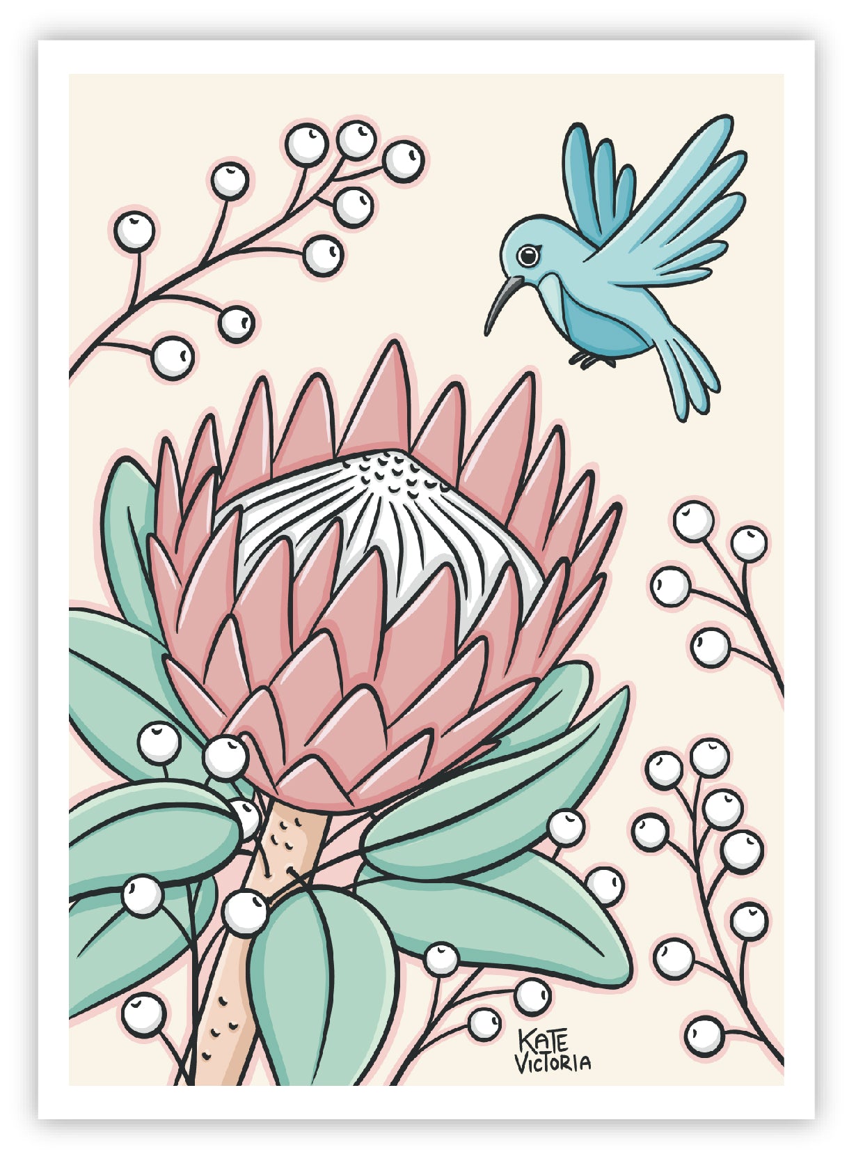 Protea & Sunbird